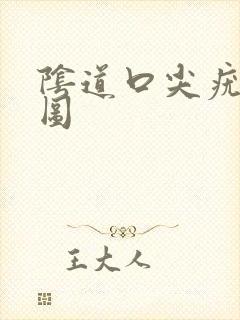 阴道口尖疣湿锐图