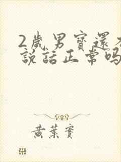 2岁男宝还不会说话正常吗