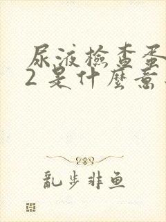 尿液检查蛋白质2 是什么意思