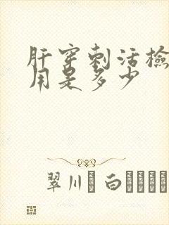 肝穿刺活检的费用是多少