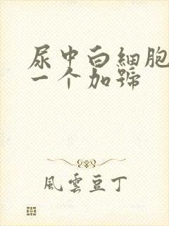 尿中白细胞酯酶一个加号