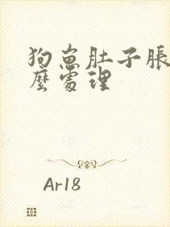 狗崽肚子胀气怎么处理