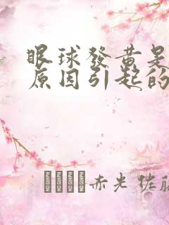 眼球发黄是什么原因引起的