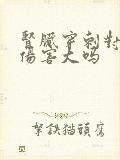 肾脏穿刺对身体伤害大吗