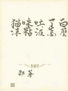 猫咪吐了白色泡沫粘液怎么办