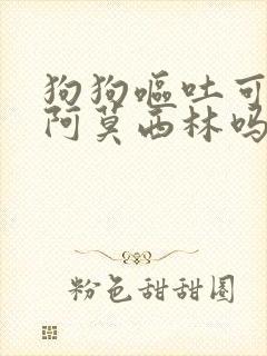 狗狗呕吐可以喂阿莫西林吗