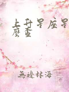 上升星座星盘怎么查