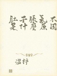 肚子胀气不排便是什么原因