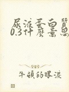 尿液蛋白质1+0.3什么意思