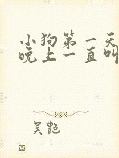 小狗第一天回家晚上一直叫