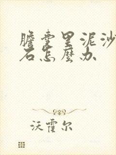 胆囊里泥沙样结石怎么办