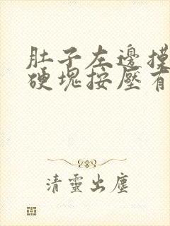 肚子左边摸着有硬块按压有点疼