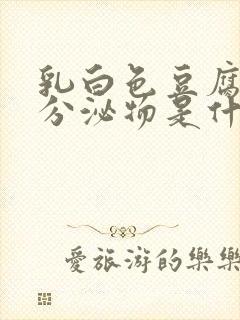 乳白色豆腐渣状分泌物是什么