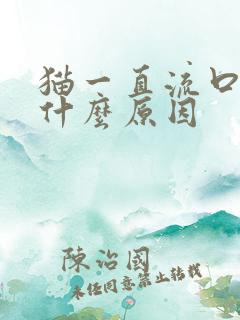 猫一直流口水是什么原因