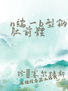 n端一b型钠尿肽前体