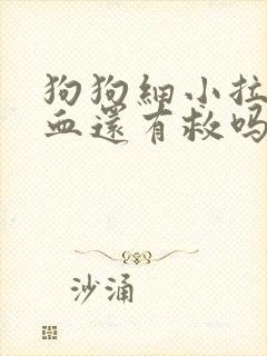 狗狗细小拉血吐血还有救吗