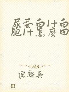 尿蛋白1+白细胞1+怎么回事