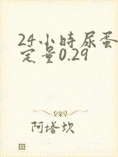24小时尿蛋白定量0.29