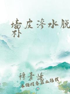 墙皮渗水脱落修补