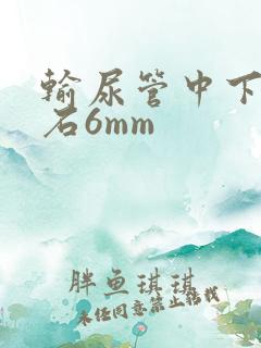 输尿管中下段结石6mm