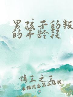 男孩子的叛逆期的年龄段