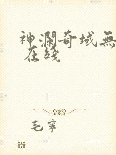 神澜奇域无双珠 在线