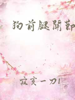 狗前腿关节肿了