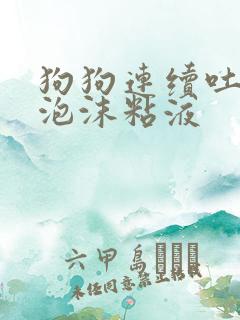 狗狗连续吐白色泡沫粘液