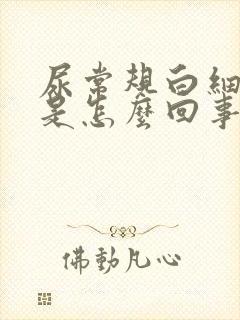 尿常规白细胞+是怎么回事