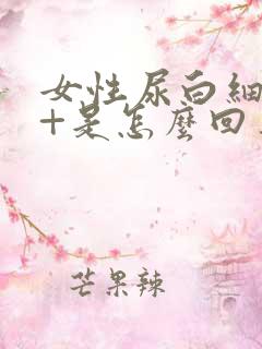 女性尿白细胞2+是怎么回事