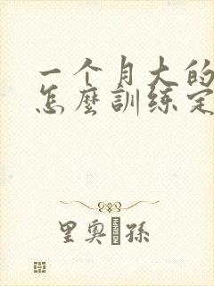 一个月大的狗狗怎么训练定点大小便