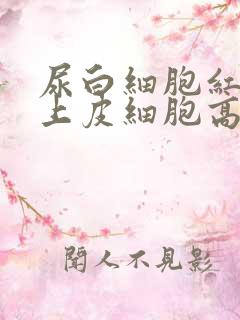 尿白细胞红细胞上皮细胞高