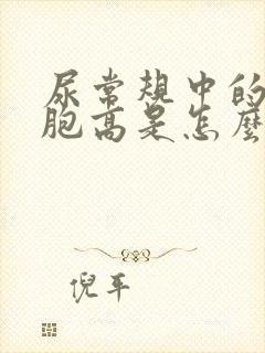 尿常规中的白细胞高是怎么回事