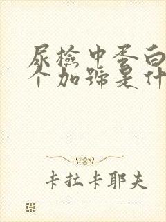 尿检中蛋白质一个加号是什么意思