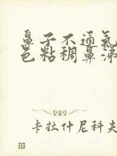 鼻子不通气有黄色粘稠鼻涕怎么办