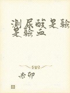 测尿酸是验尿还是验血