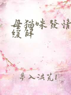 母猫咪发情怎么缓解