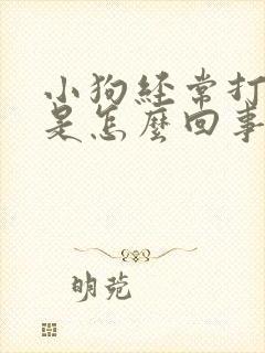 小狗经常打喷嚏是怎么回事