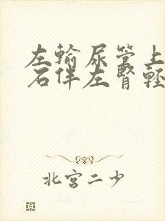 左输尿管上段结石伴左肾轻微积水