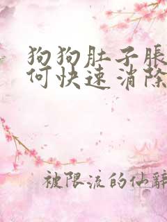 狗狗肚子胀气如何快速消除