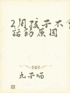 2周孩子不会说话的原因