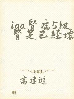 iga肾病5级肾是已经坏了吗