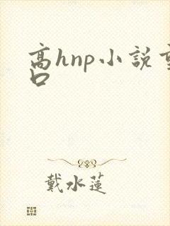 高hnp小说重口