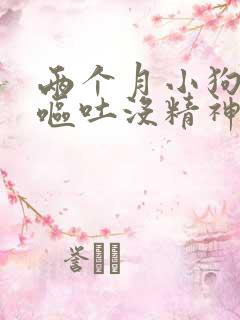 两个月小狗拉稀呕吐没精神怎么办