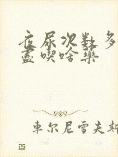 夜尿次数多尿不尽吃啥药