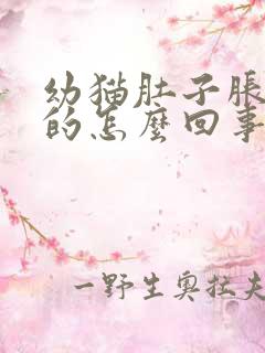 幼猫肚子胀硬硬的怎么回事