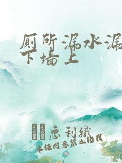 厕所漏水漏到楼下墙上