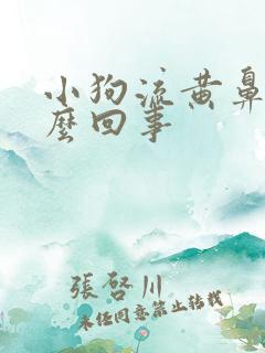 小狗流黄鼻涕怎么回事