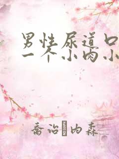 男性尿道口长了一个小肉小米粒