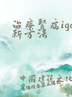 治疗肾病iga新方法